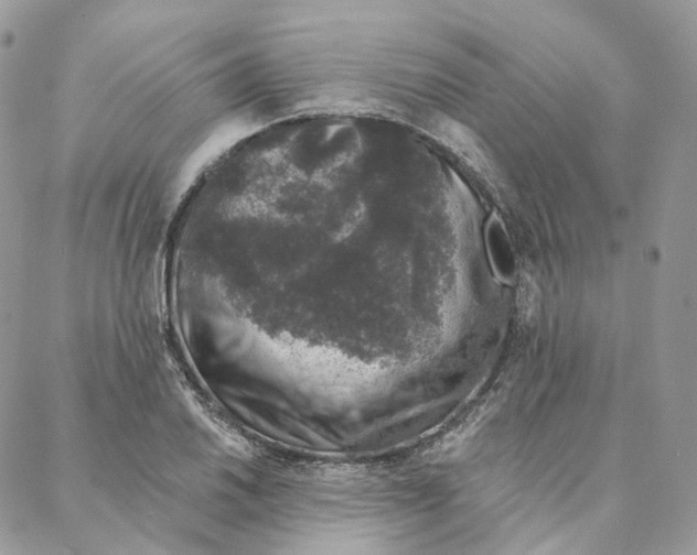 X0000088021030200706011319