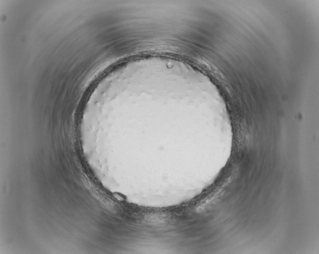 X0000088021031200706011319