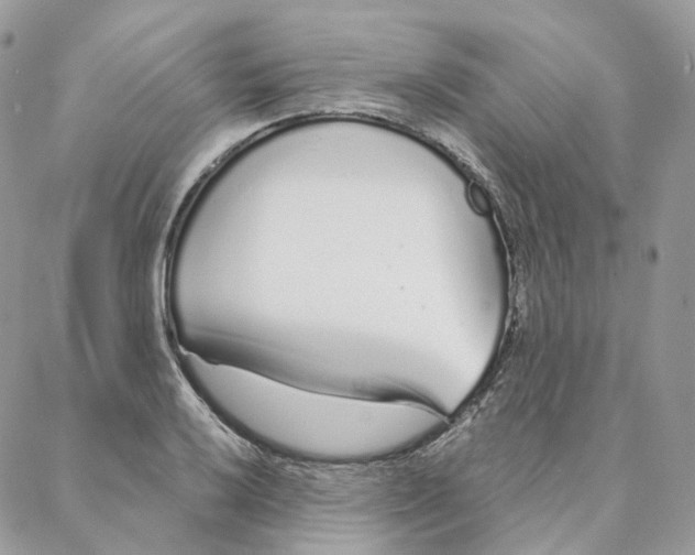 X0000088021032200706011319