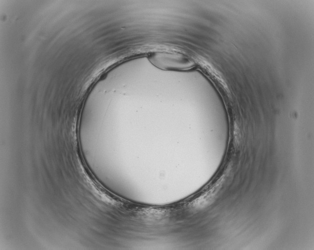 X0000088021033200706011319