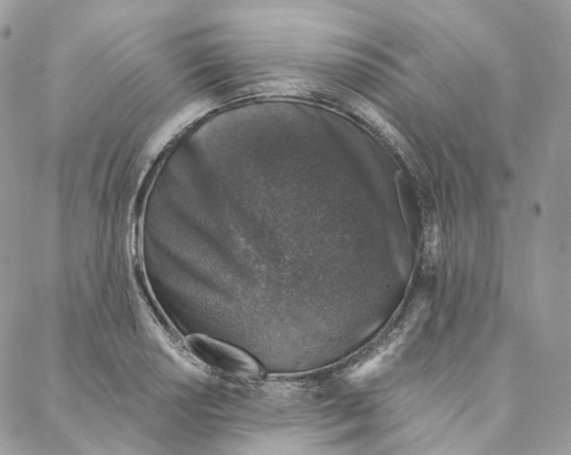 X0000088021034200706011319