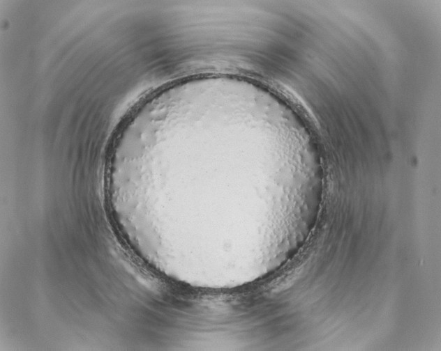 X0000088021035200706011319