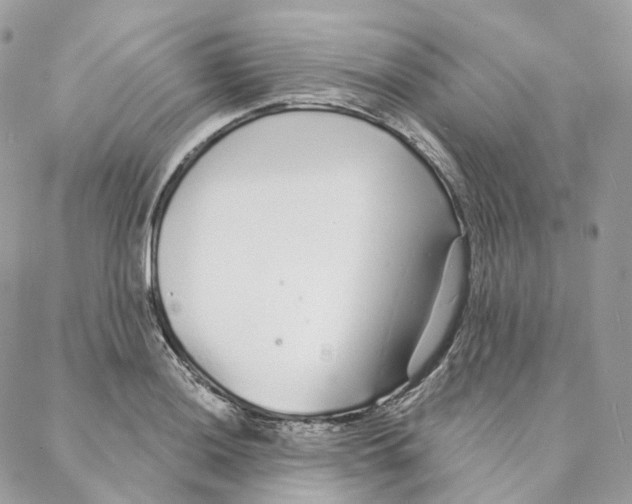 X0000088021036200706011319