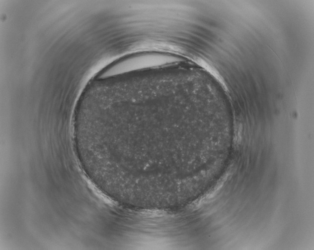 X0000088021037200706011319