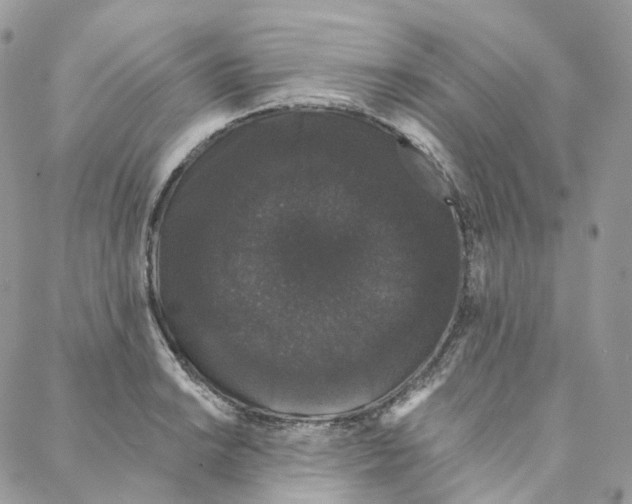 X0000088021038200706011319