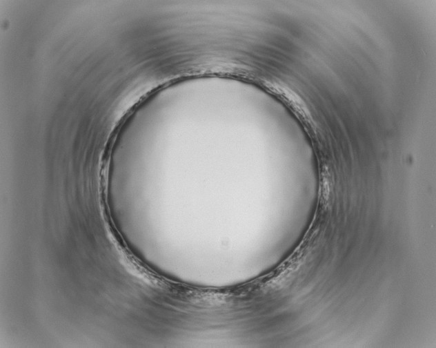 X0000088021039200706011319