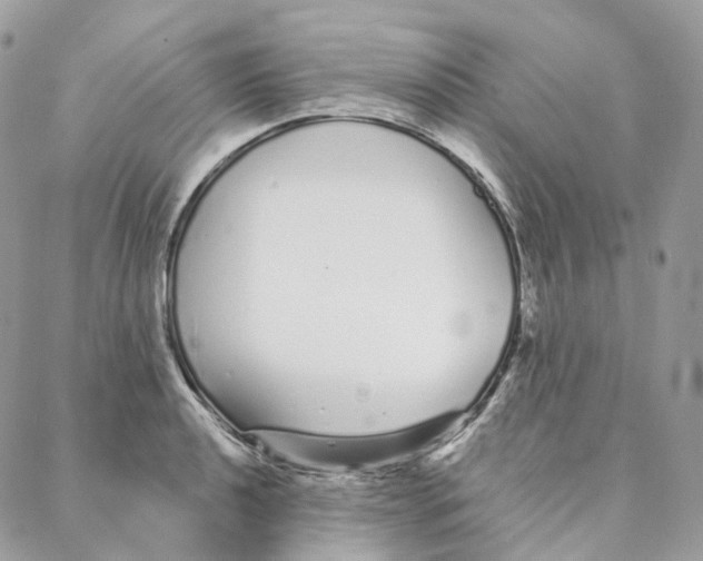 X0000088021040200706011319