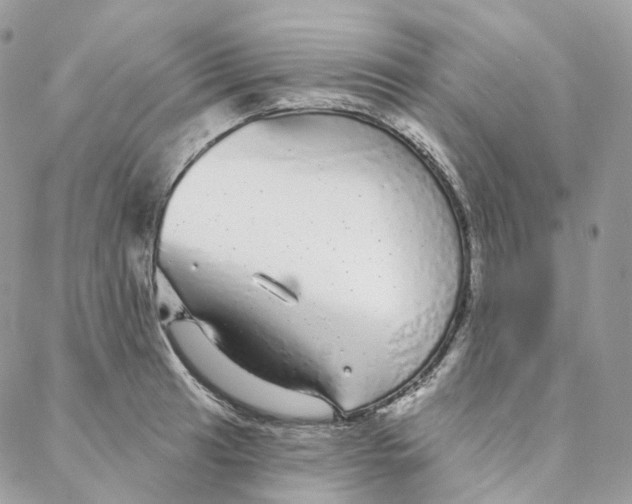 X0000088021041200706011319