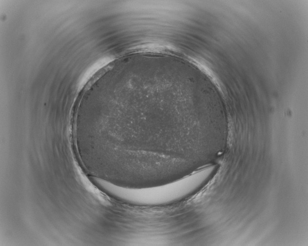 X0000088021042200706011319