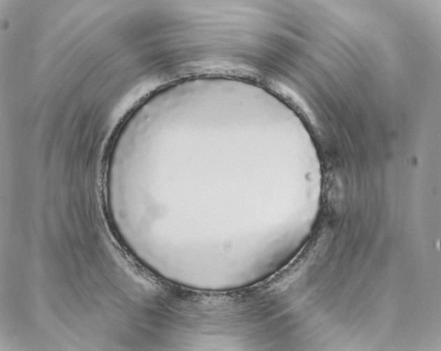 X0000088021043200706011319