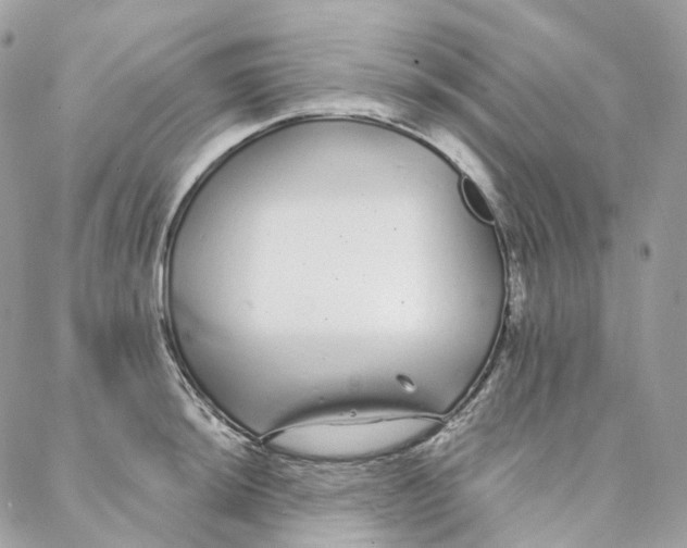 X0000088021044200706011319