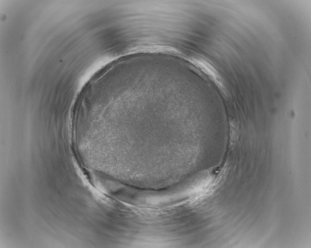 X0000088021046200706011319