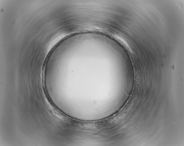 X0000088021047200706011319