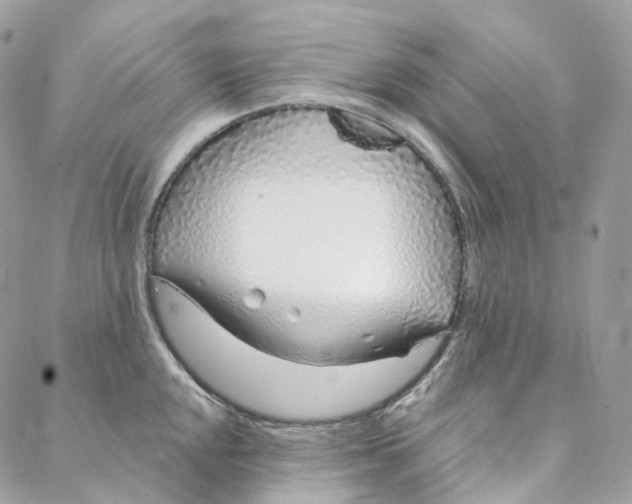 X0000088021048200706011319