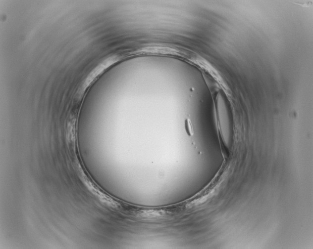 X0000088021049200706011319