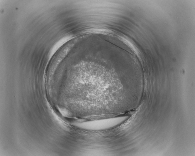 X0000088021050200706011319