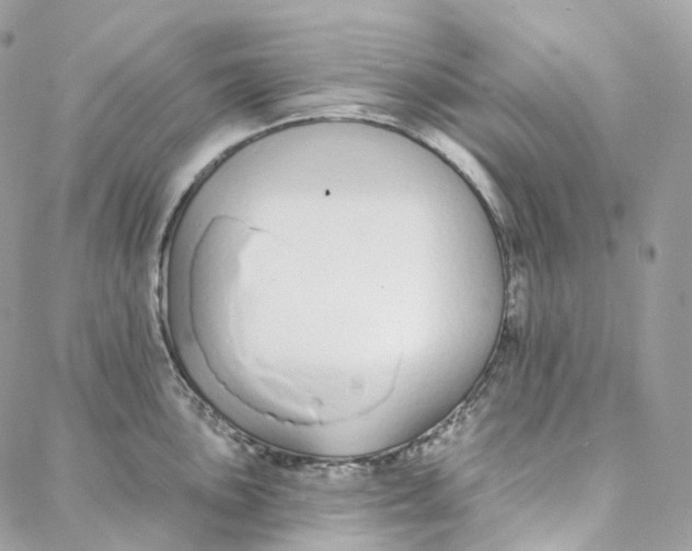 X0000088021051200706011319