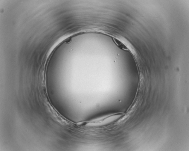 X0000088021052200706011319