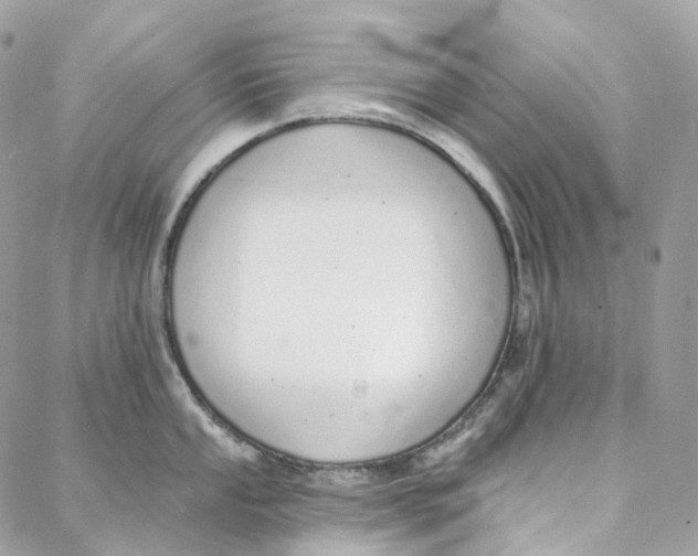 X0000088021053200706011319