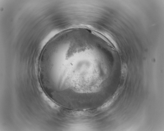 X0000088021054200706011319