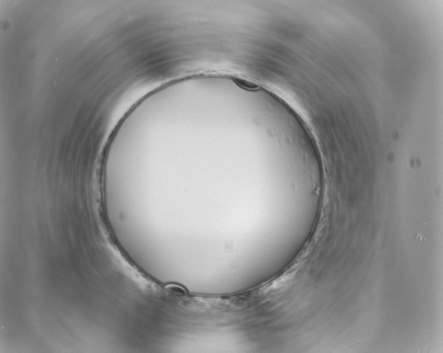 X0000088021056200706011319