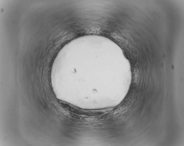 X0000088021057200706011319