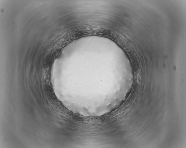 X0000088021059200706011319