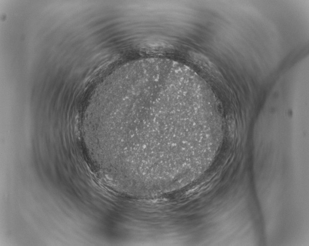 X0000088021060200706011319