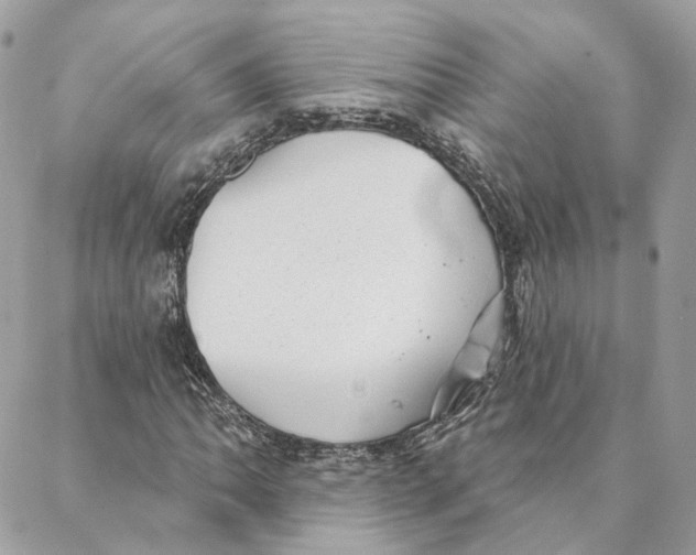 X0000088021062200706011319