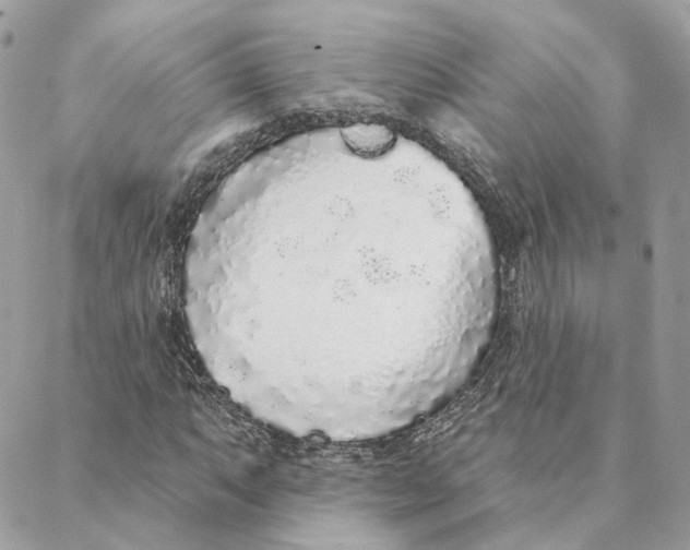 X0000088021063200706011318