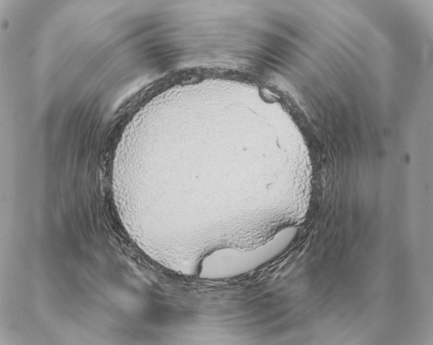 X0000088021064200706011318