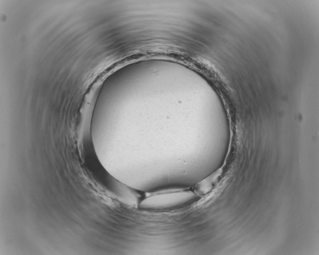 X0000088021065200706011318