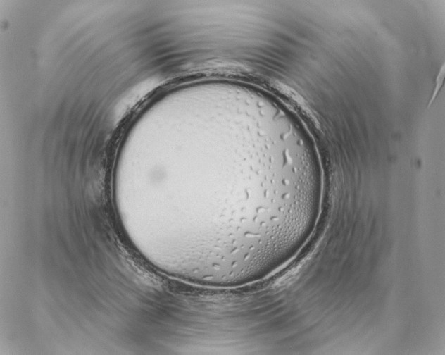 X0000088021066200706011318