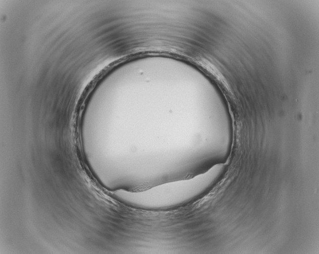 X0000088021068200706011318