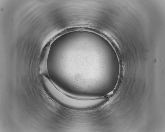 X0000088021069200706011318