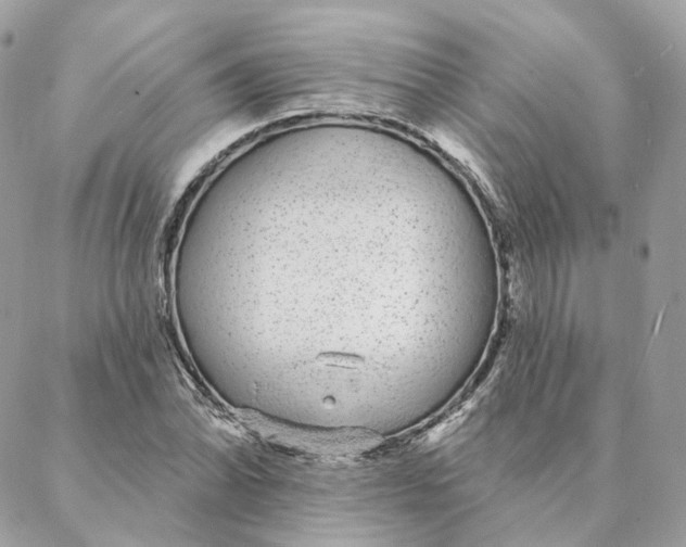 X0000088021070200706011318