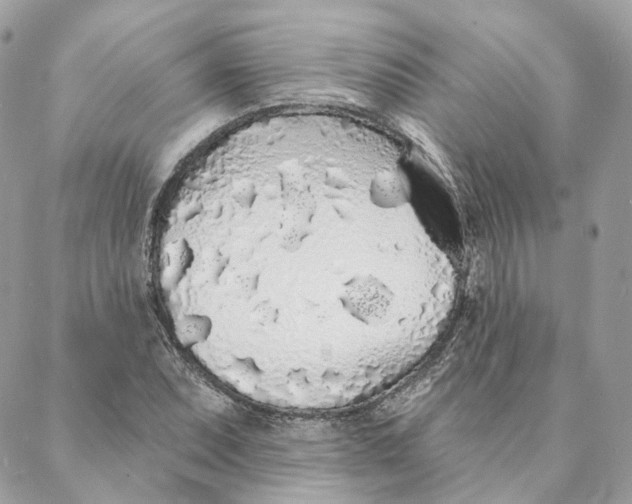 X0000088021071200706011318