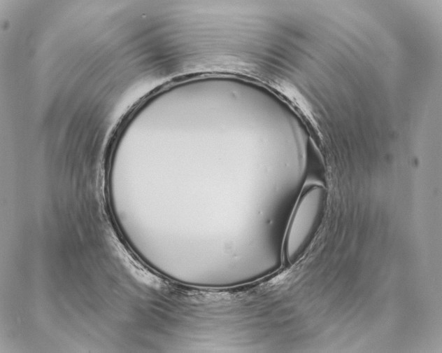 X0000088021072200706011318