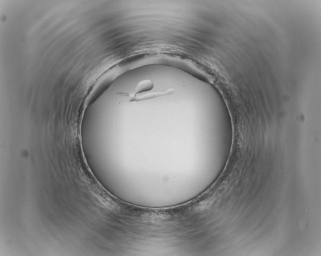 X0000088021073200706011318