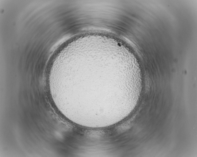 X0000088021074200706011318