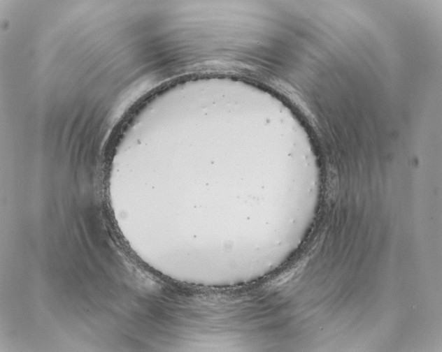 X0000088021075200706011318