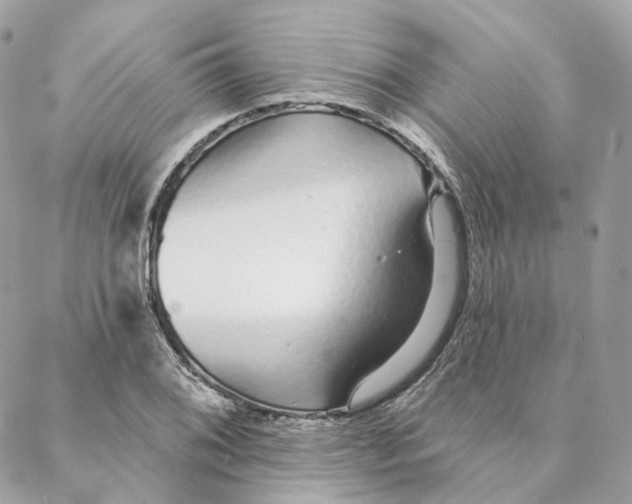 X0000088021076200706011318