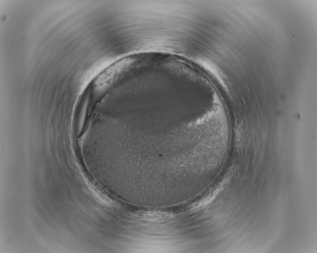 X0000088021077200706011318