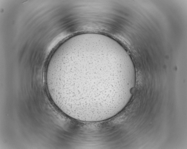 X0000088021078200706011318