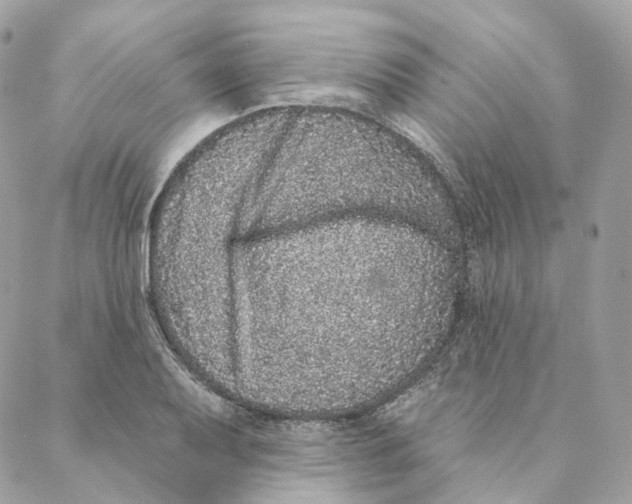 X0000088021079200706011318