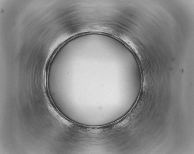 X0000088021080200706011318