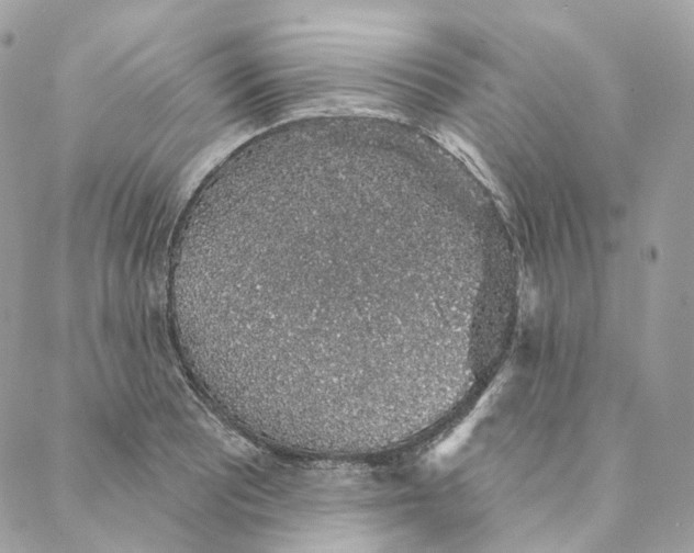 X0000088021081200706011318