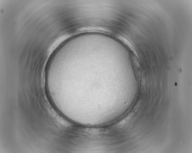 X0000088021082200706011318