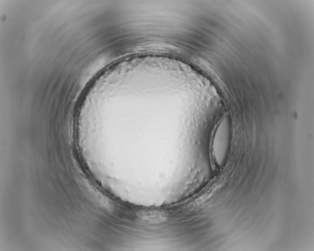 X0000088021083200706011318