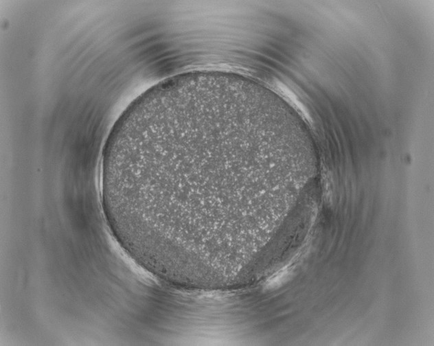 X0000088021084200706011318